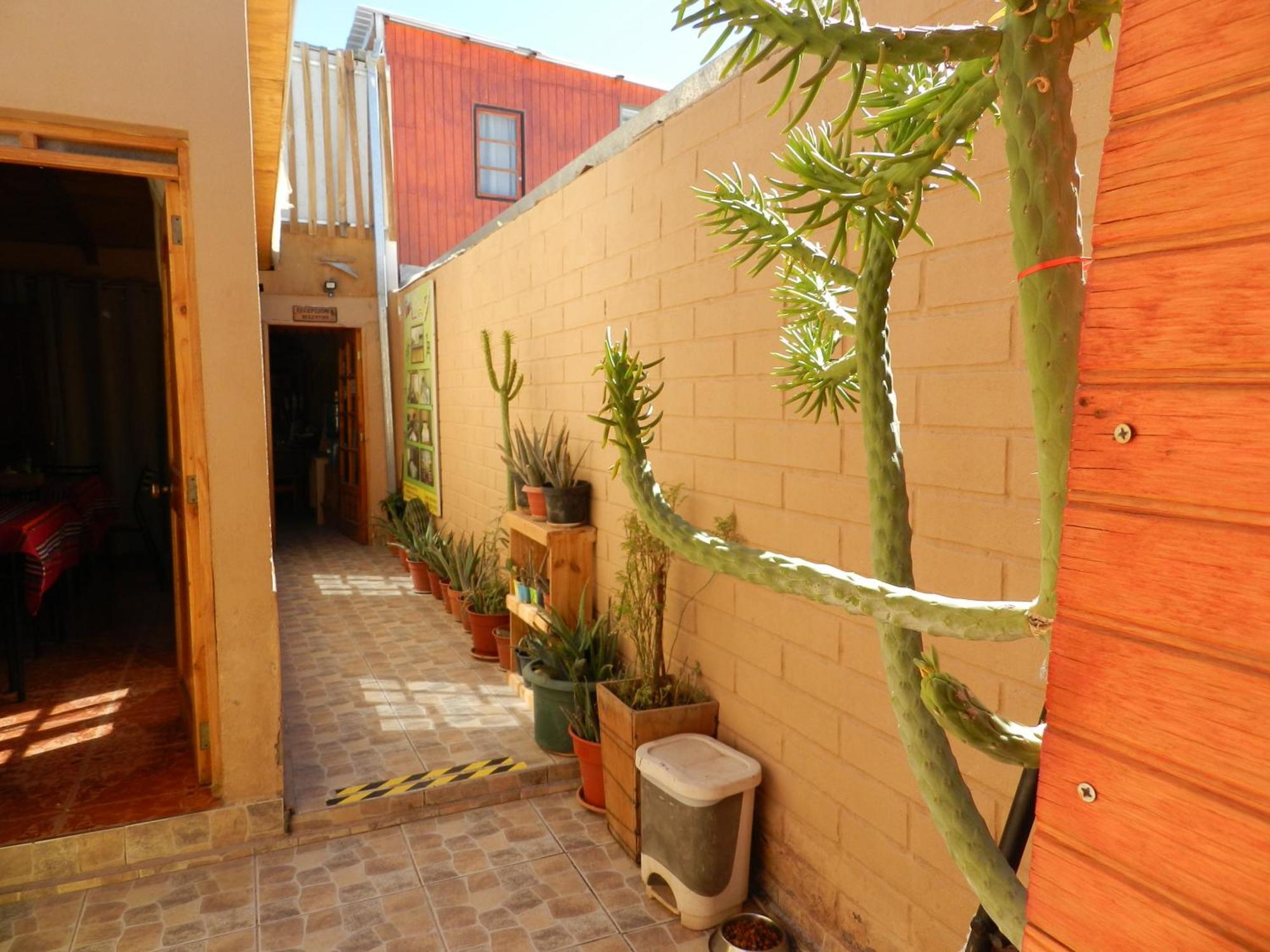 Hostal Illari San Pedro De Atacama Zewnętrze zdjęcie